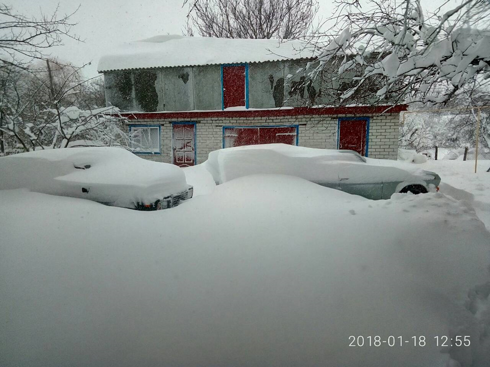 Волга стала универсалом 1