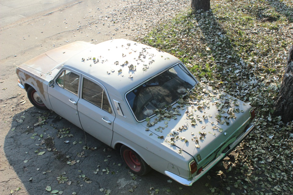Осінь 1