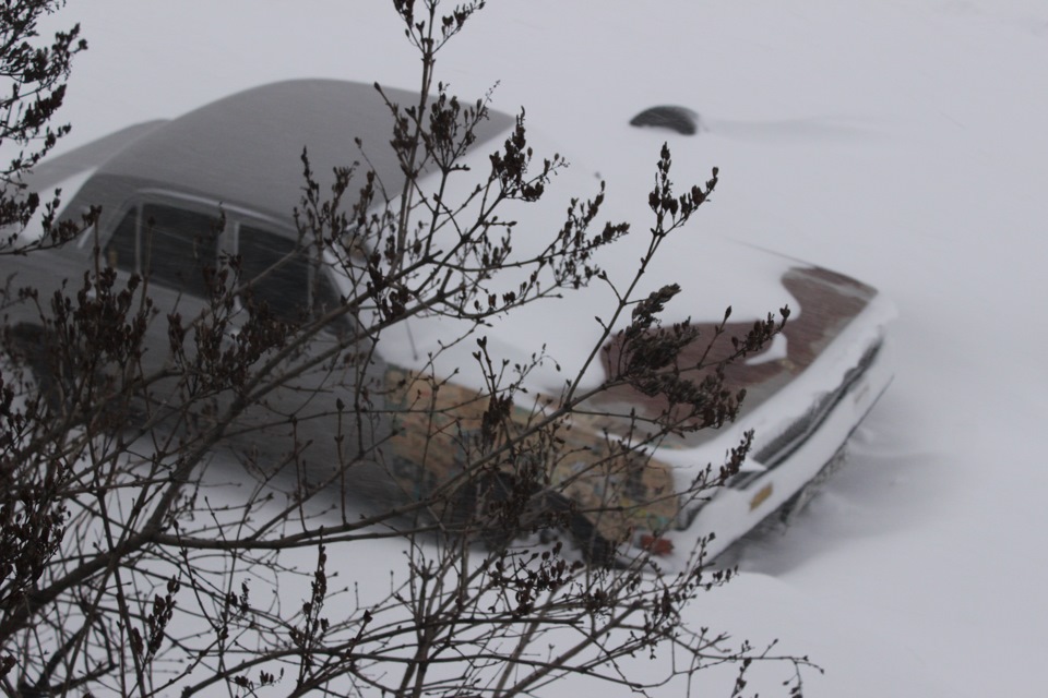 Зима 2015 1