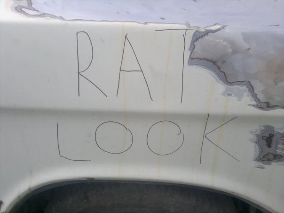 Трохи Rat Look