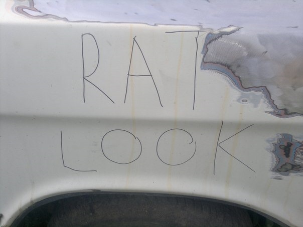 Трохи Rat Look 1