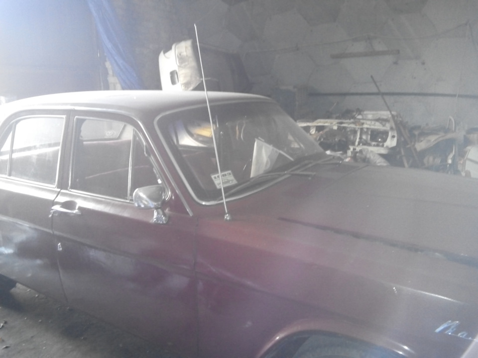 Провідав красуню 5