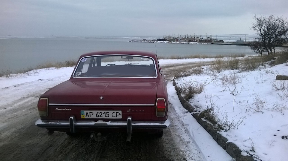 Сніг майже розтанув. 20.12.2016 4