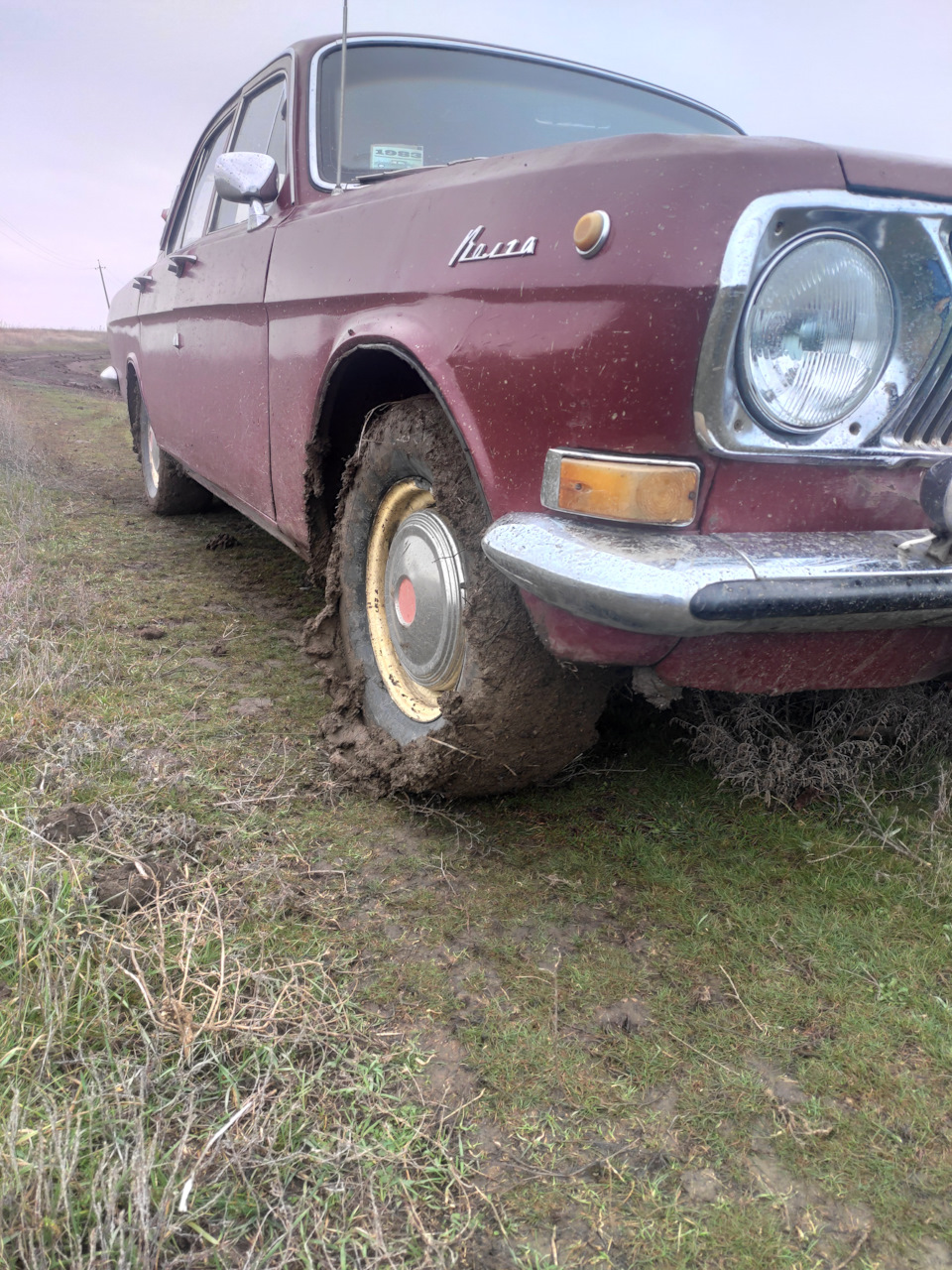 Зимівка 22-23 3