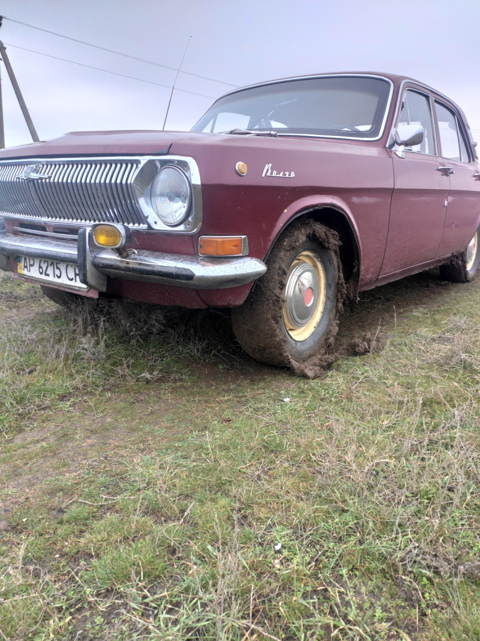 Зимівка 22-23 4