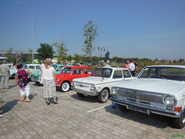 Шахтарські горизонти 2013 5