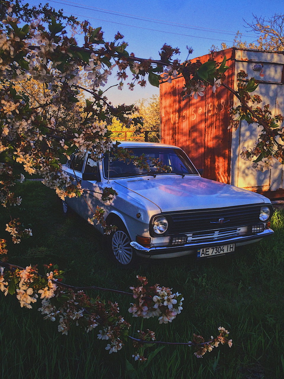 Просто трохи красивих фото) 5