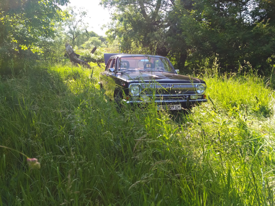 Вигул авто на природу. 2