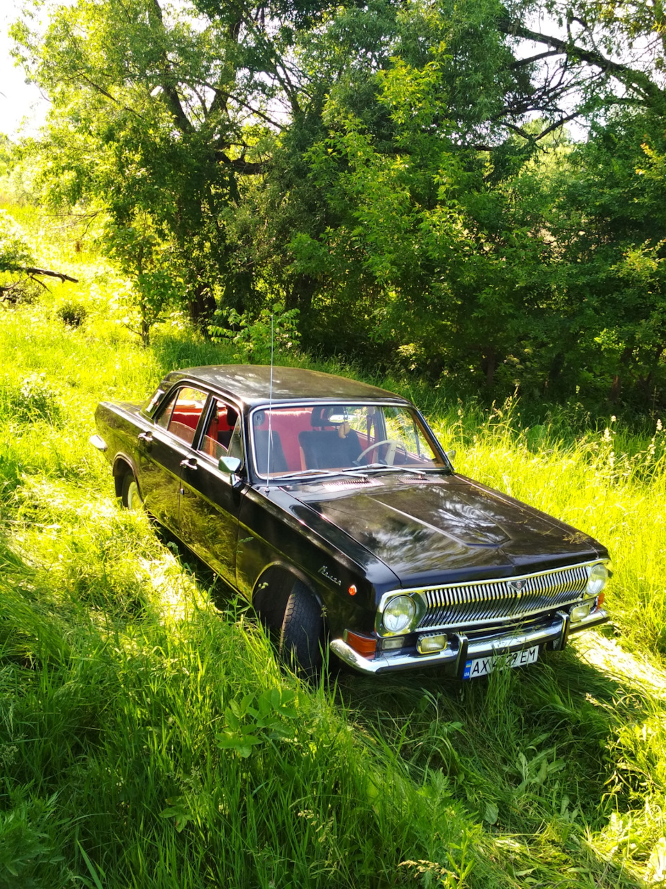 Вигул авто на природу. 4