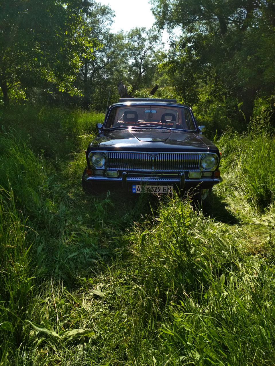 Вигул авто на природу. 3
