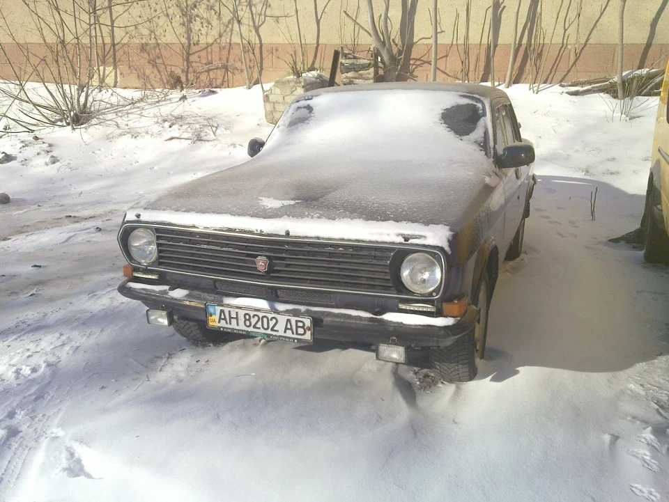 Золота, що завмерла