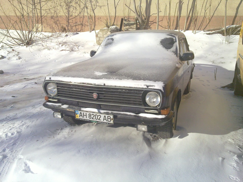 Золота, що завмерла 1