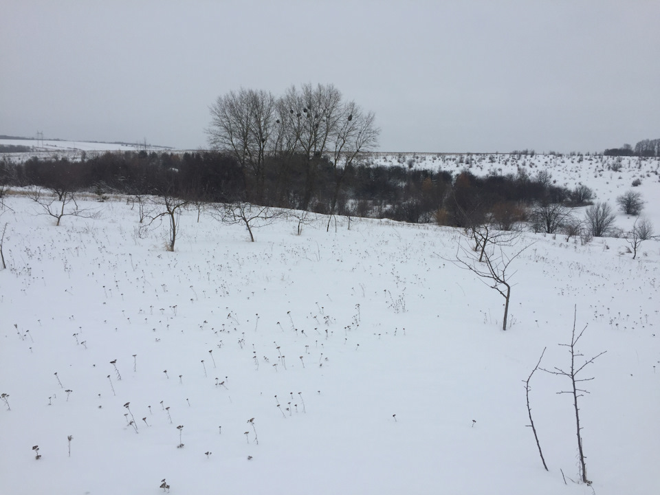 Зимові неприємності(( 2