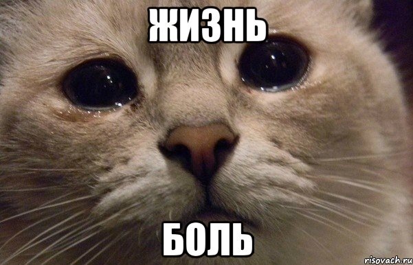 донор проданий(( 2