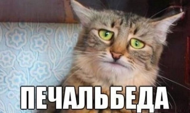 Сумок біда) 2