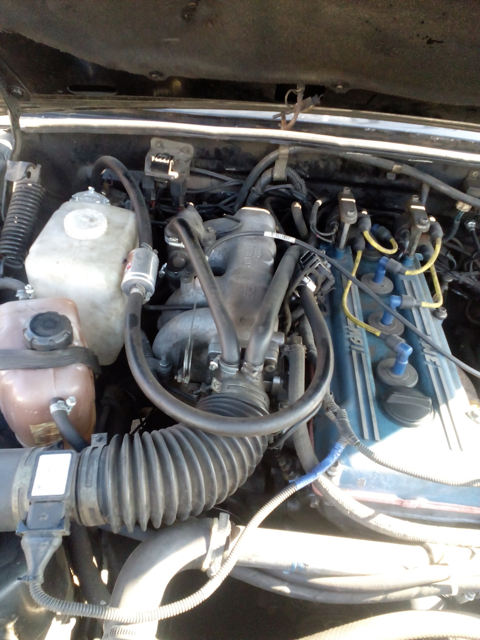 Моя бестія. 4