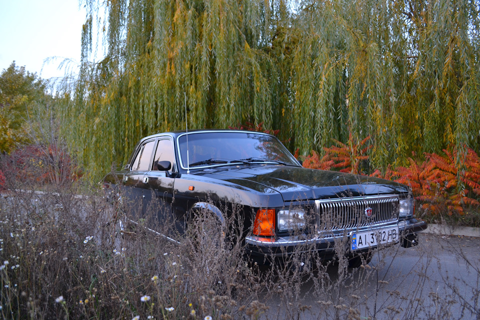 Золота осінь 5