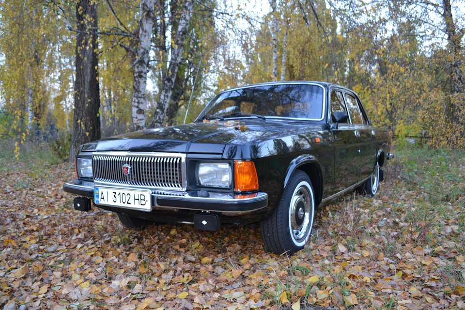 Золота осінь 3