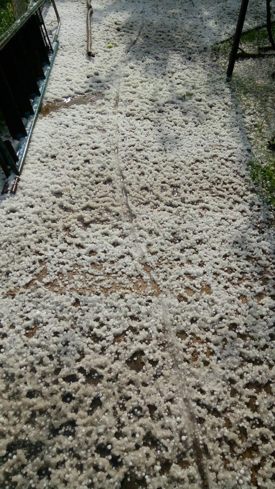 Капризи природи 4