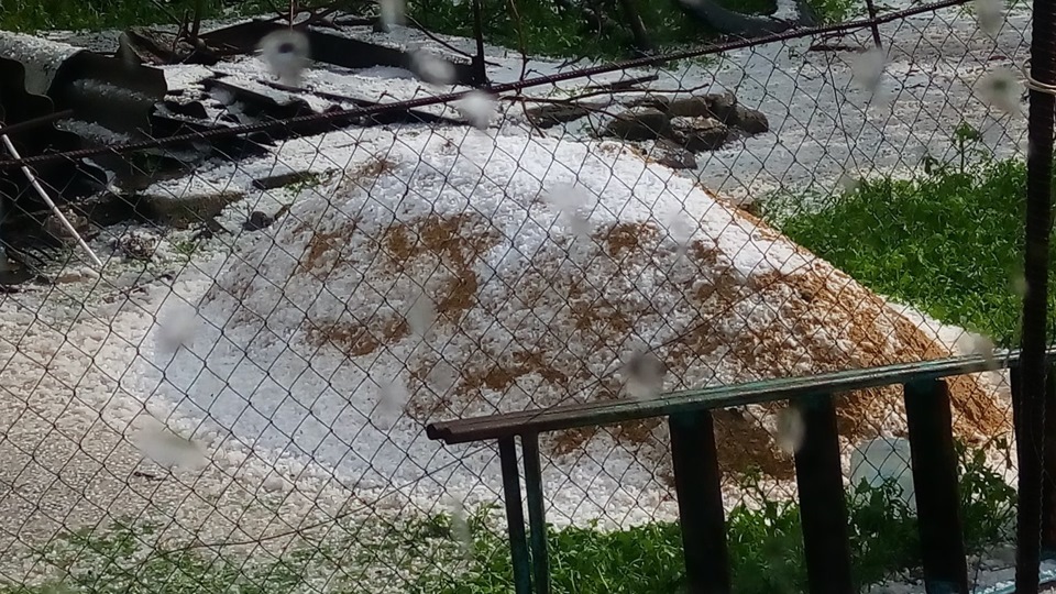 Капризи природи 5