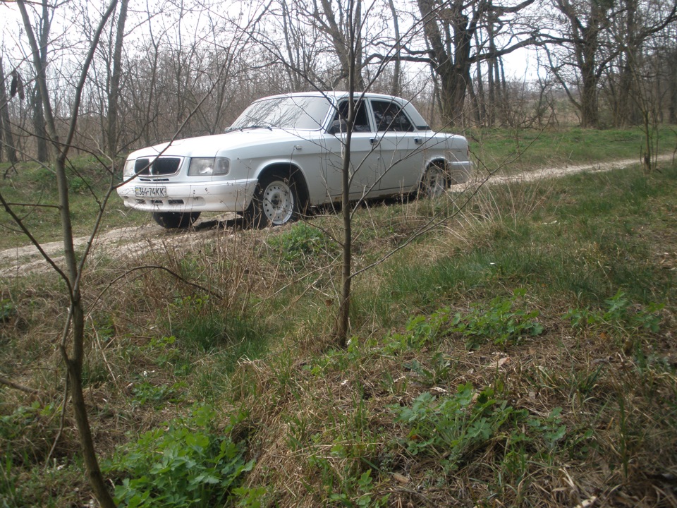 День з носатою по господарству) 4