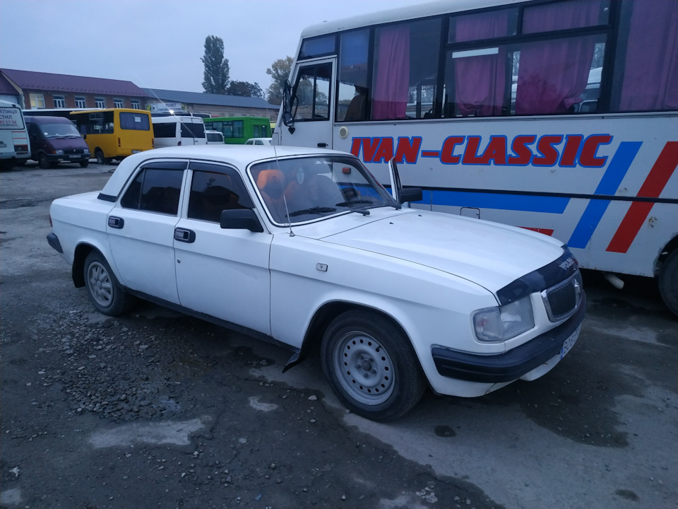 Татчина радість 5