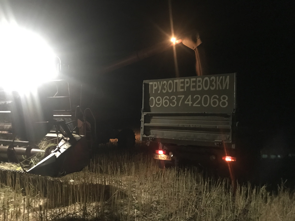 Просто фотки з роботи (11 год) (операція колосок) 4