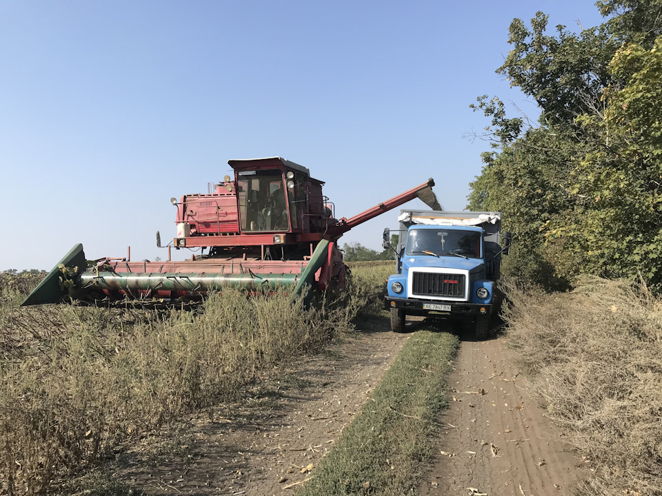 Просто фотки з роботи (12 год) 3