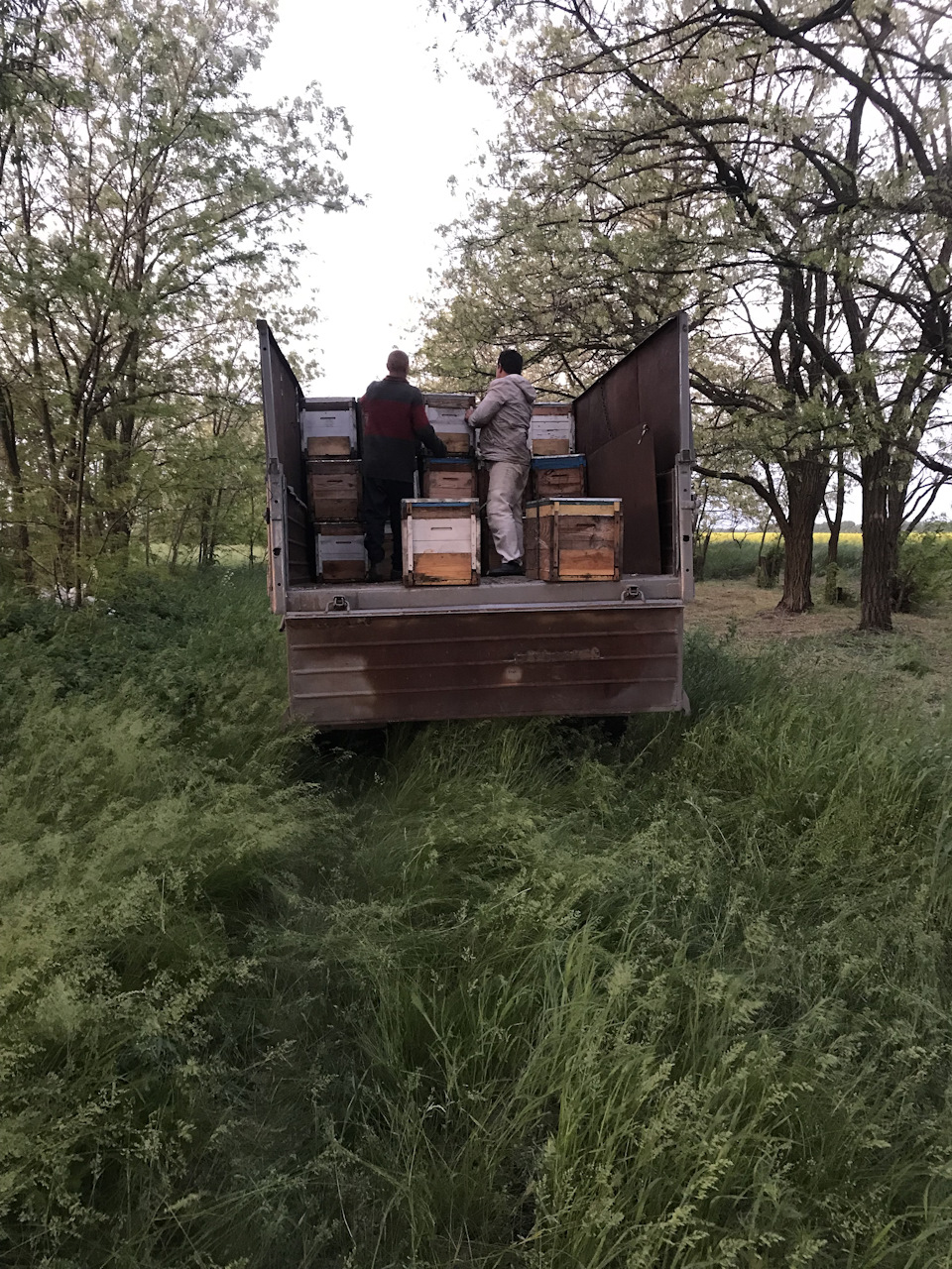 Просто фотки з роботи (9 год) 5