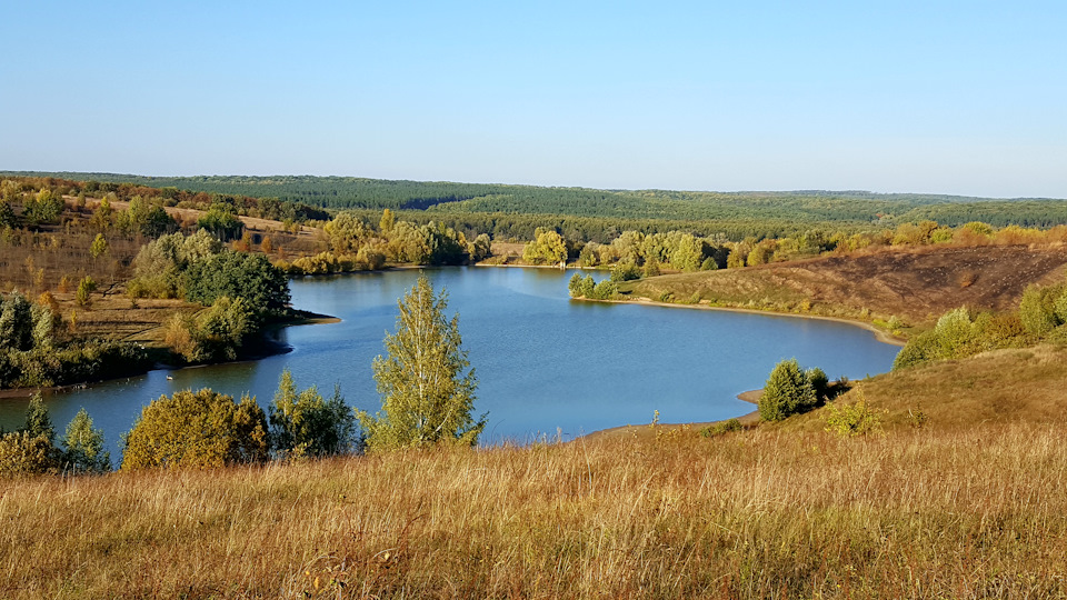 Поїздка за яблуками. 4