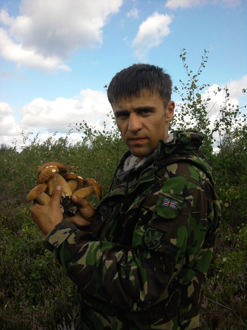 Грибочки 5