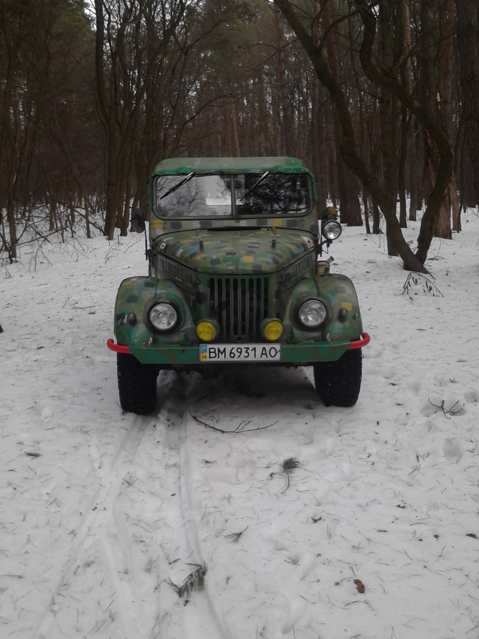 №48 Покотушка в ліс 1