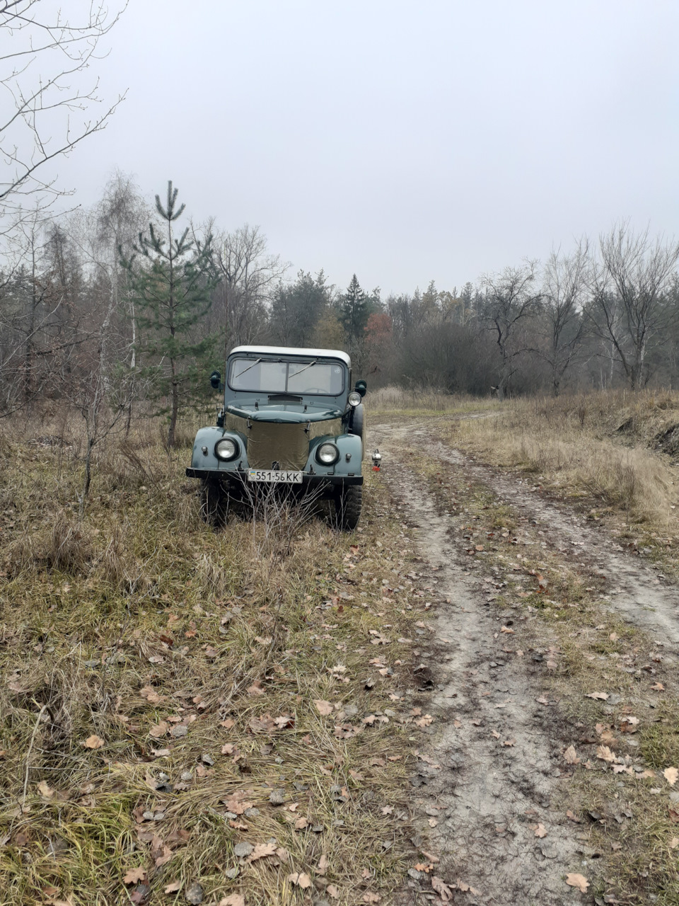 Ще трохи про намордник 1