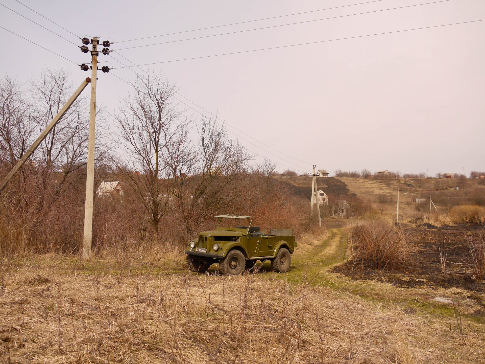 Свіжа, після фарбування. 2