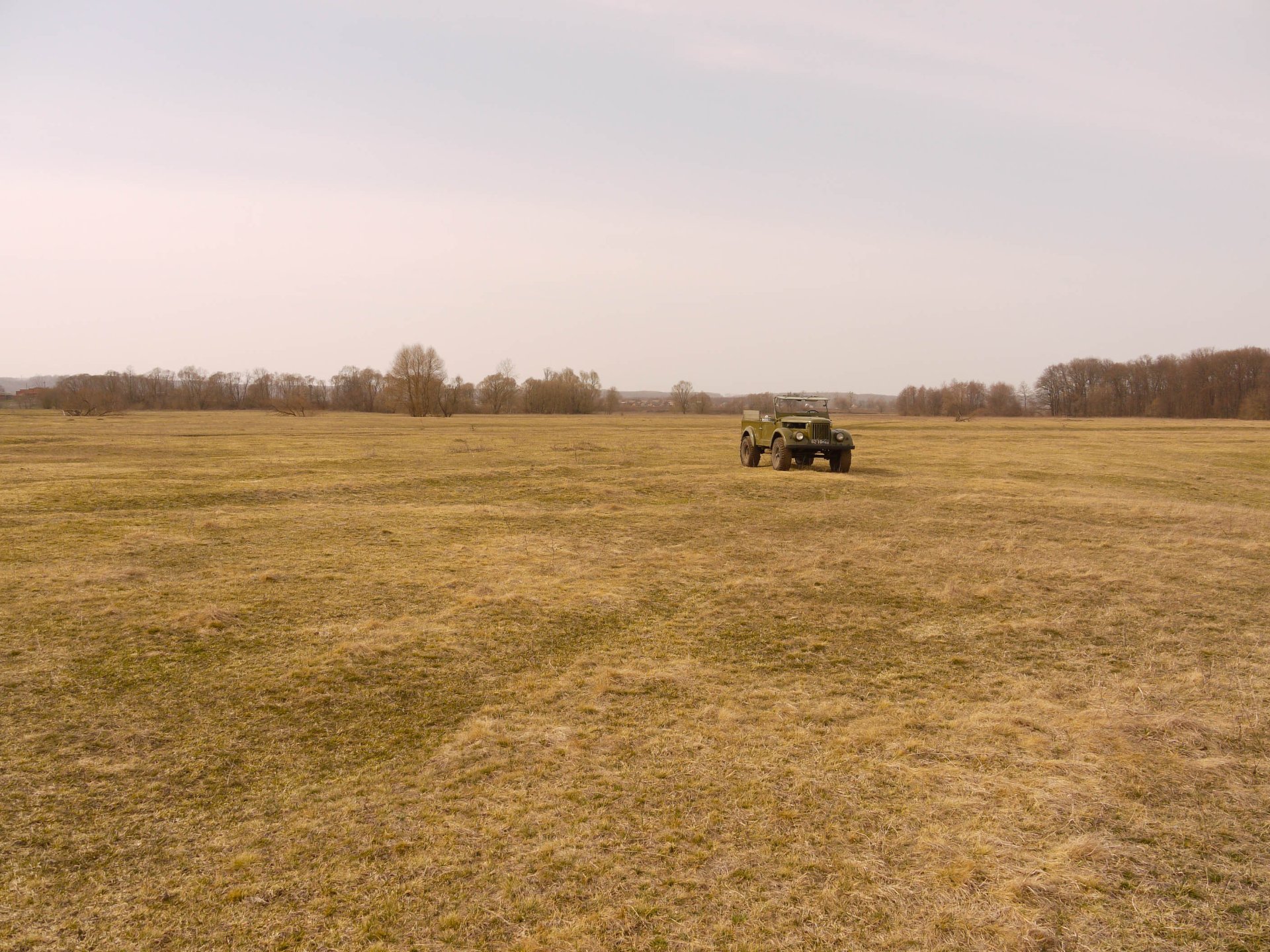 Свіжа, після фарбування. 4