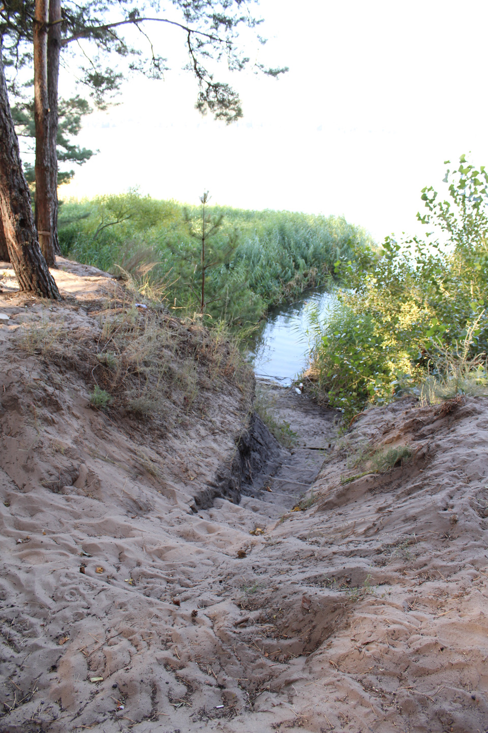Виїзд на відпочинок на Печенізьке водосховище 3