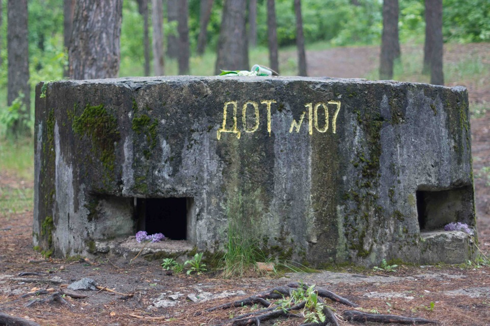 перший виїзд після обмолодження 5