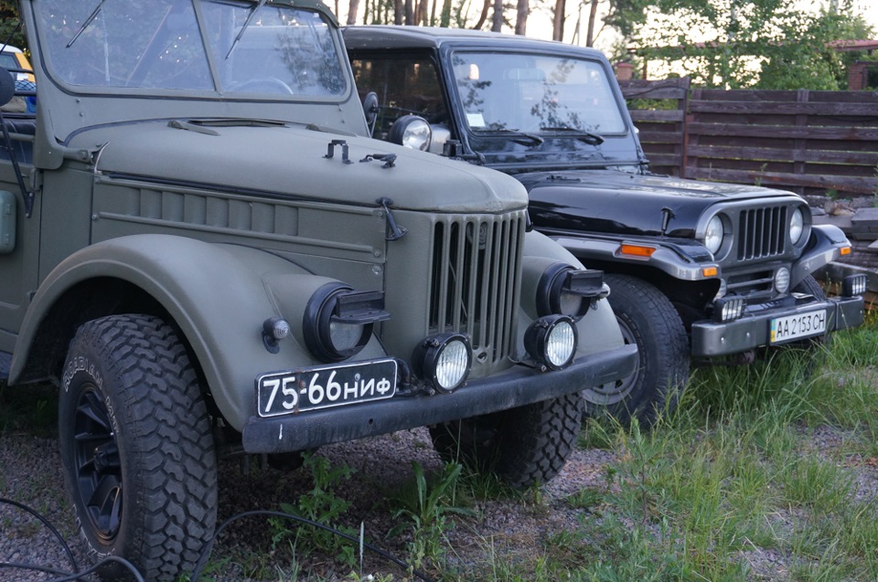 поповнення в сім'ї 2