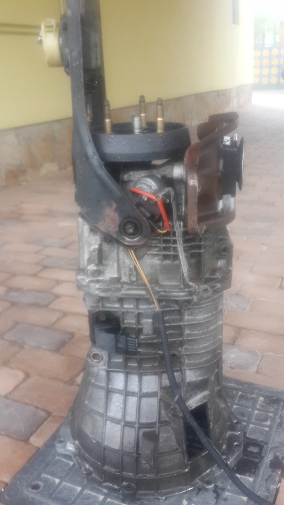 Коробас для мого майбутнього газону :) 3