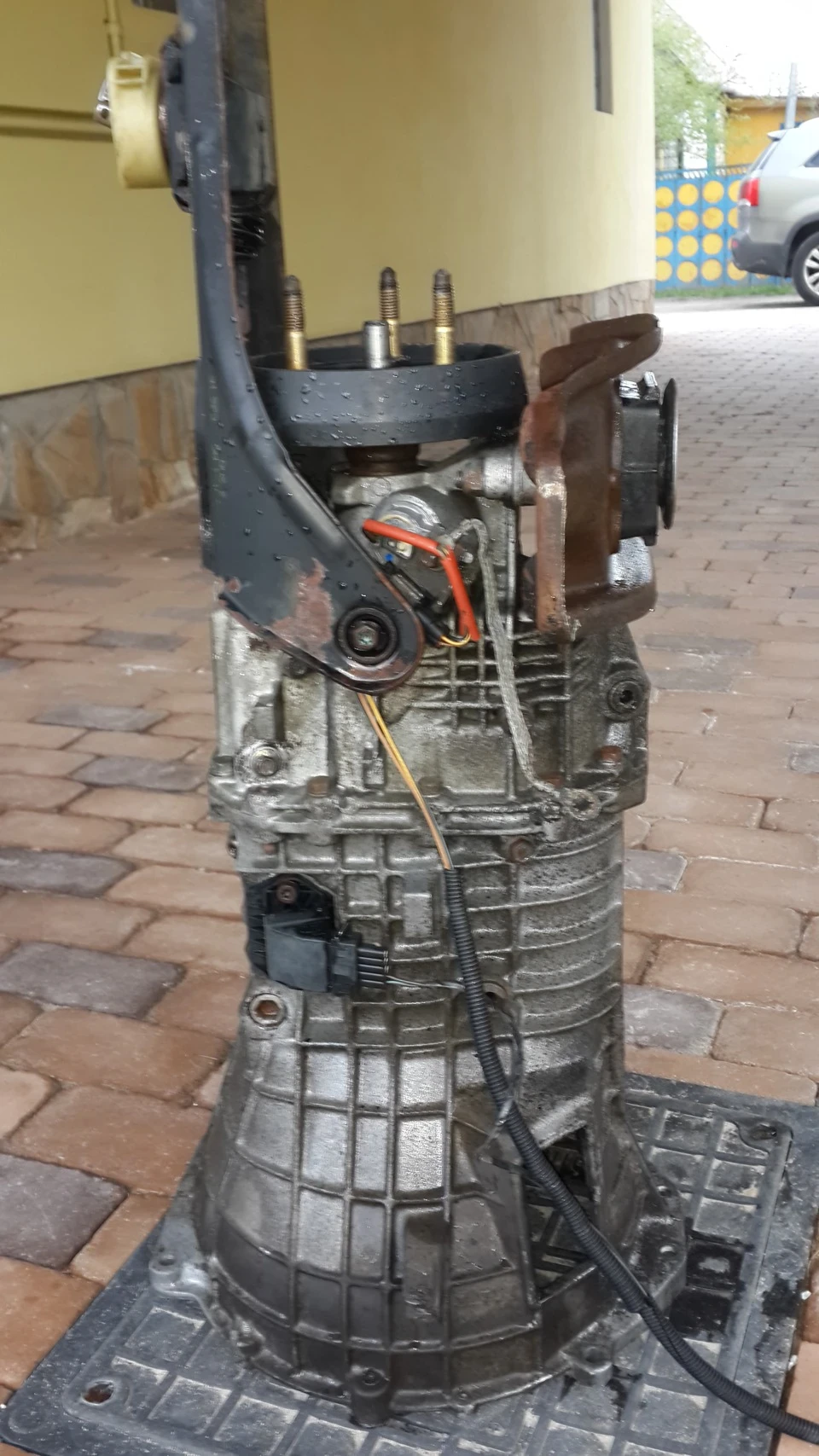 Коробас для мого майбутнього газону :)