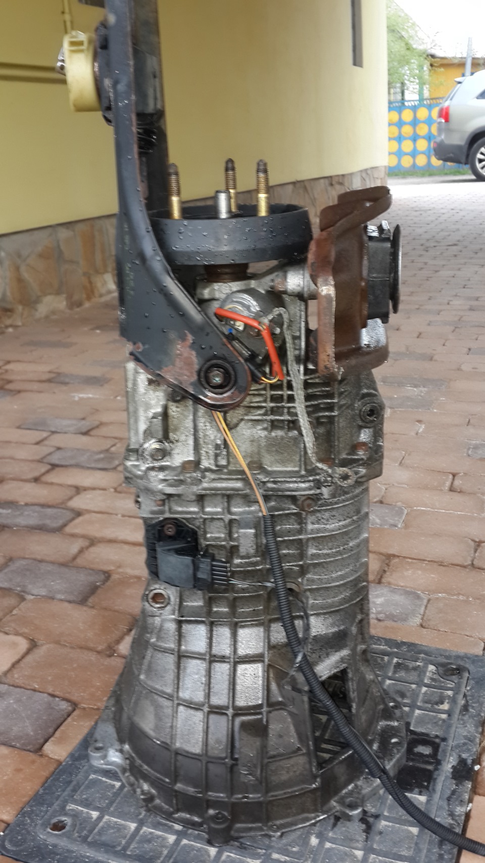 Коробас для мого майбутнього газону :) 1