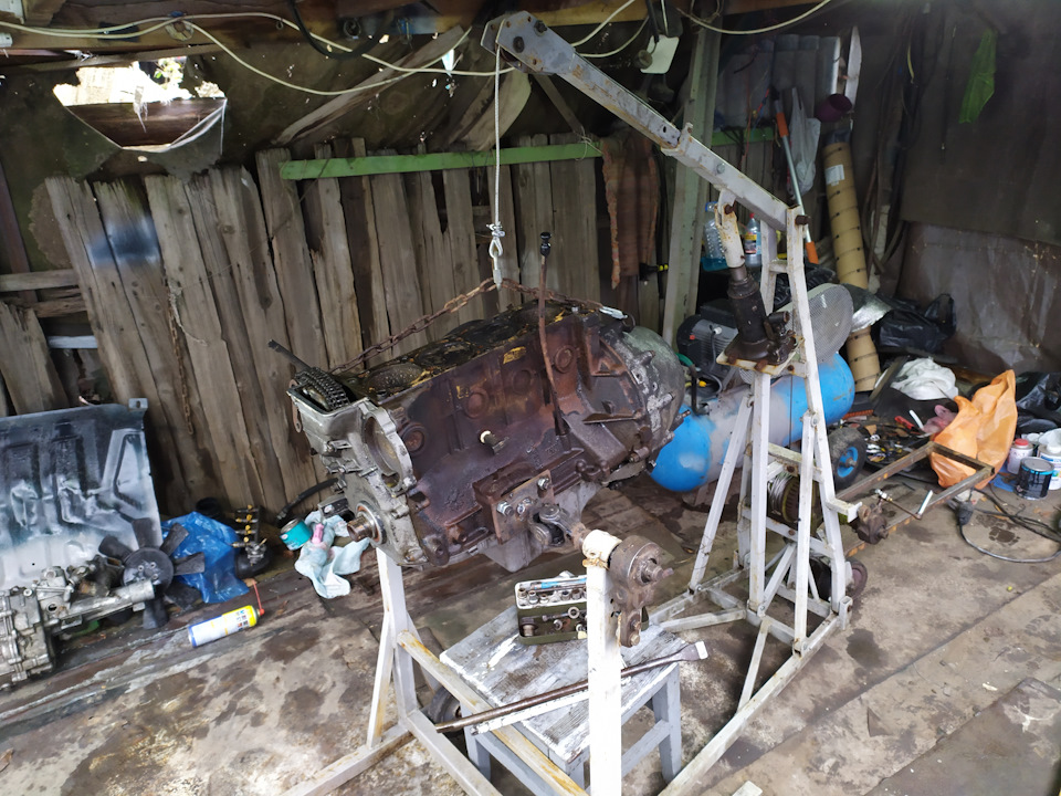 Не моя газель. Слабонервним не дивитися. 3