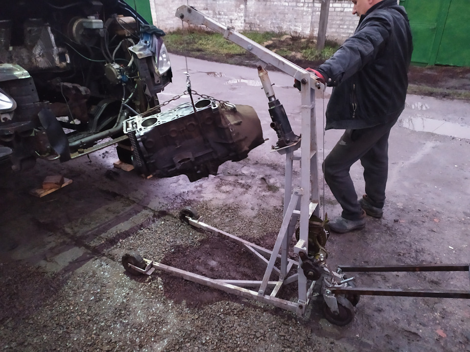 Не моя газель. Слабонервним не дивитися. 2