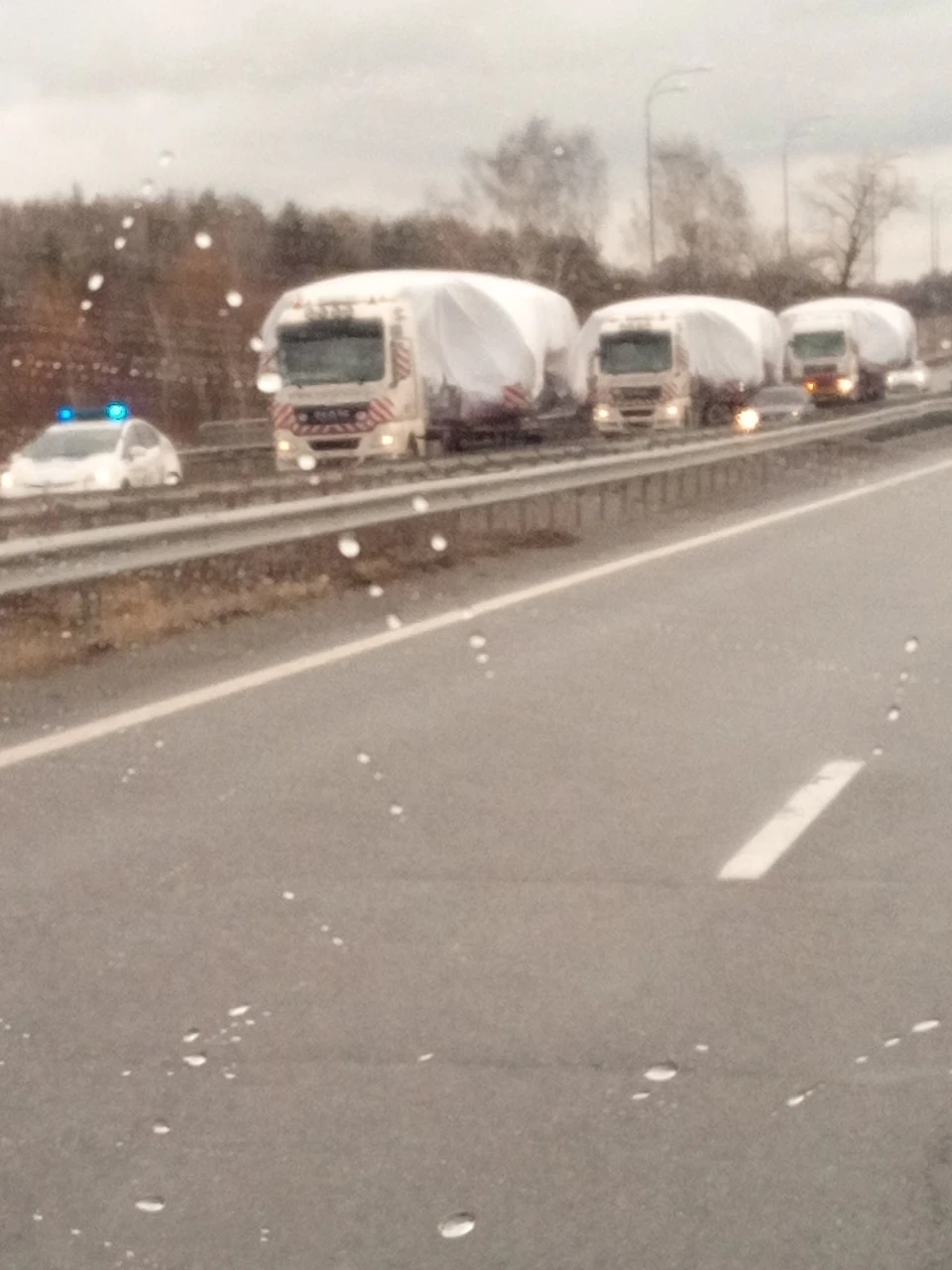 Дочапал