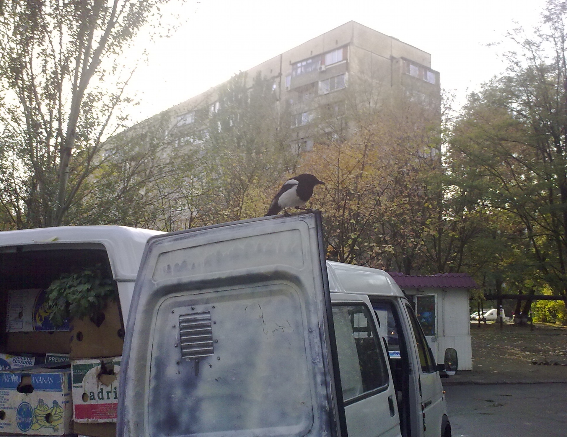 Непрохана гостя. 3
