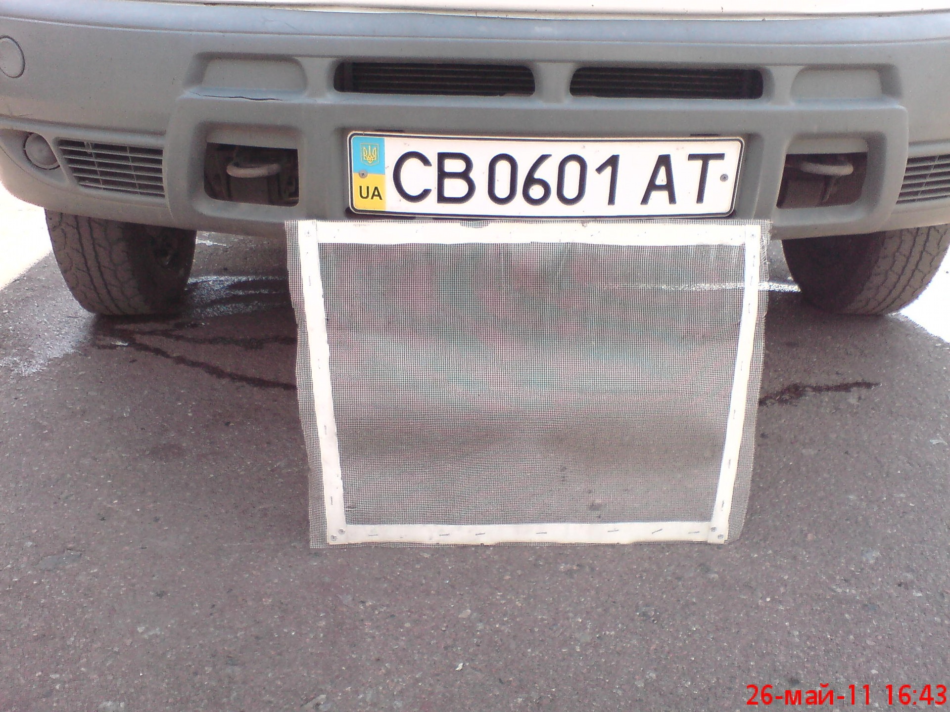 тополиний пух 2
