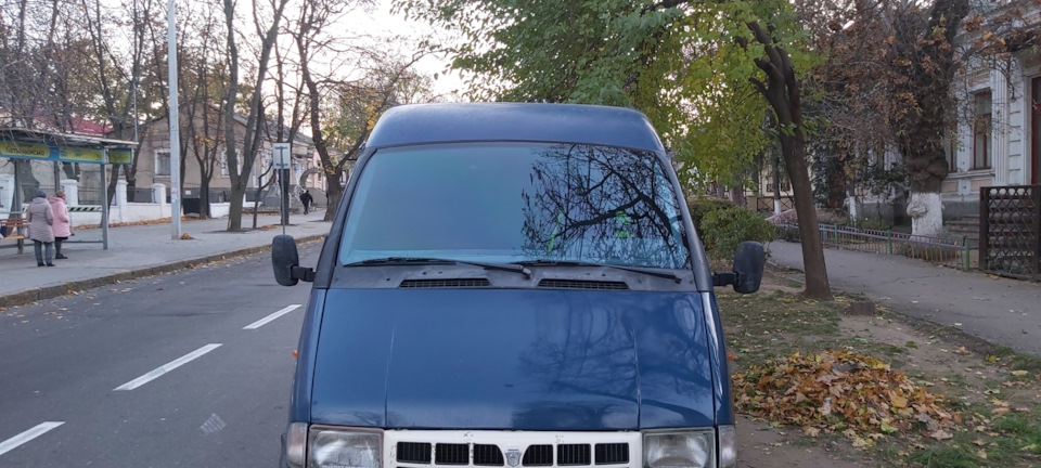 Тоніровка, окуляри в роті жуйка) 3