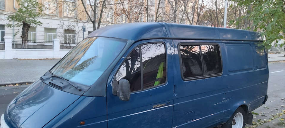 Тоніровка, окуляри в роті жуйка) 4