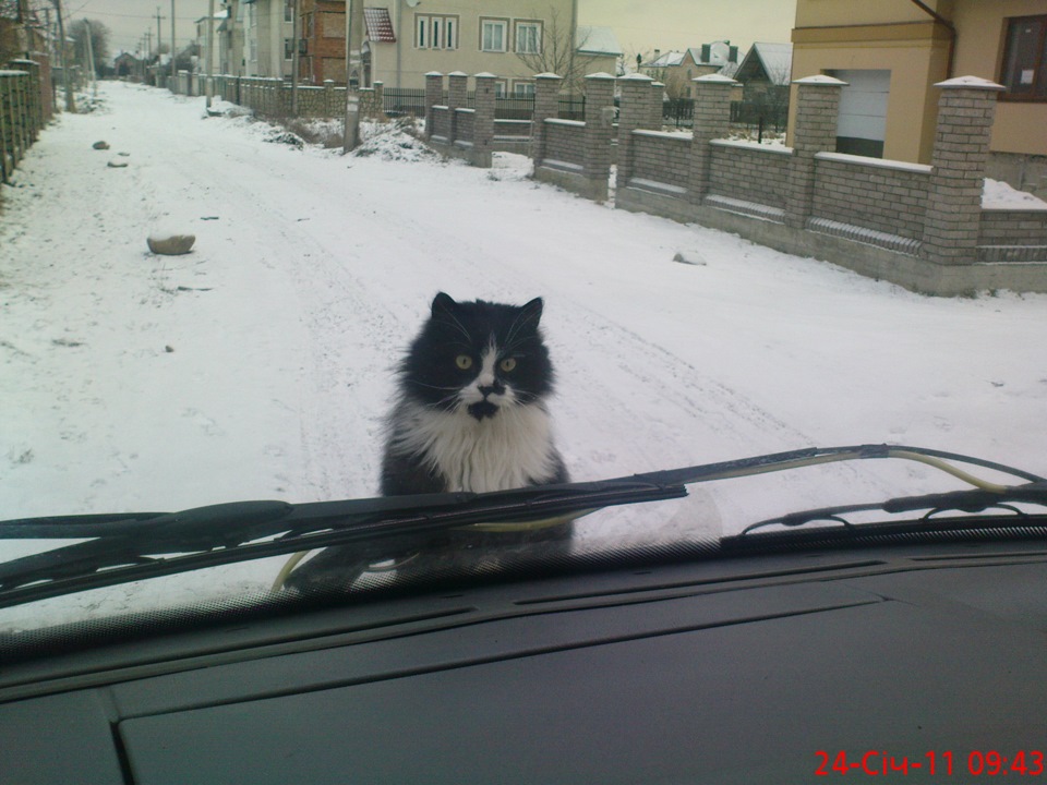 пасажир 3