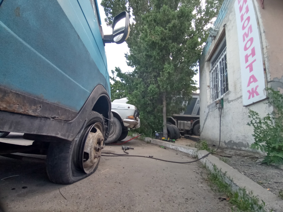 Газеліусу не сподобалися капці! 3
